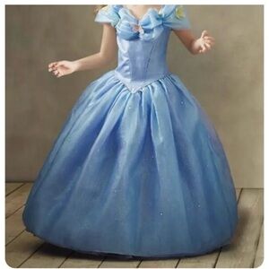 Cinderella Ultimate Luxury costume ballgown: Chasing Fireflies